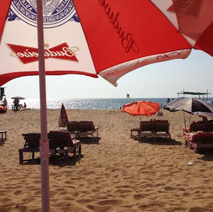 Meet your Posher, Surendra